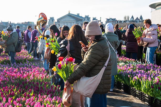 National Tulip Day. Amsterdam.