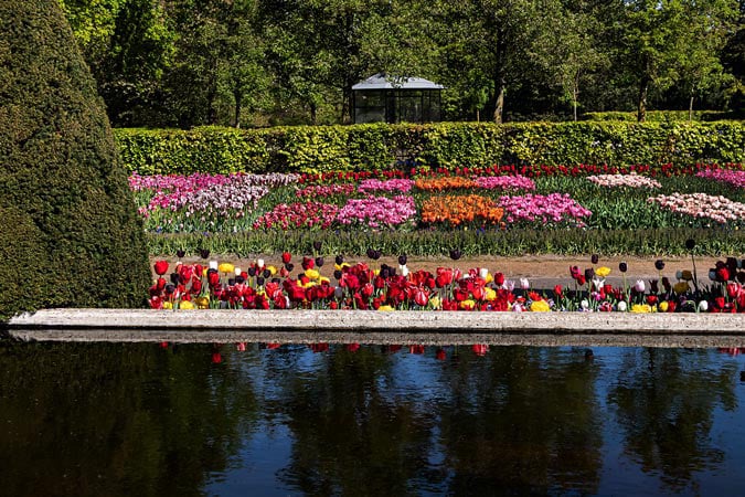 Keukenhof. Flower fields.
