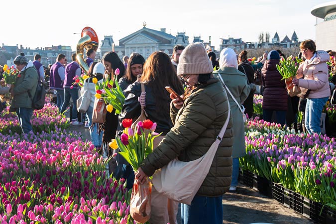National Tulip Day. Amsterdam.
