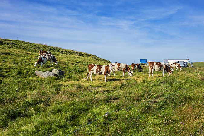 Auvergne