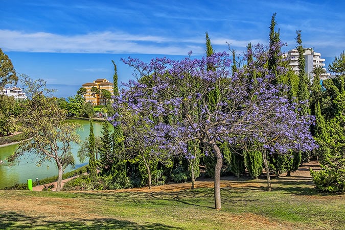 Benalmadena. Paloma Park. 