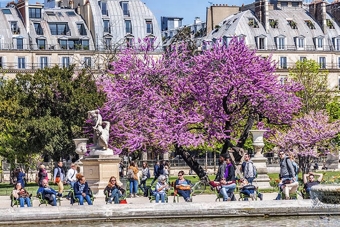 Paris. Jardin des Tuileries.