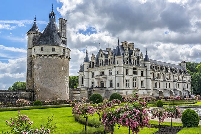 Photos of Flowers and trees.