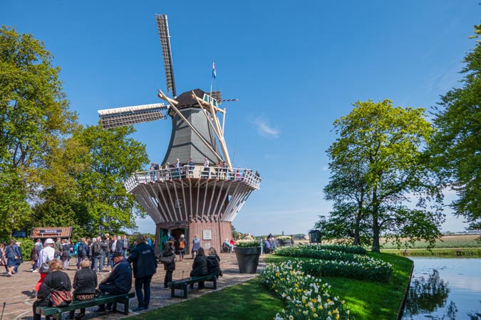 Keukenhof. Keukenhof Windmill.
