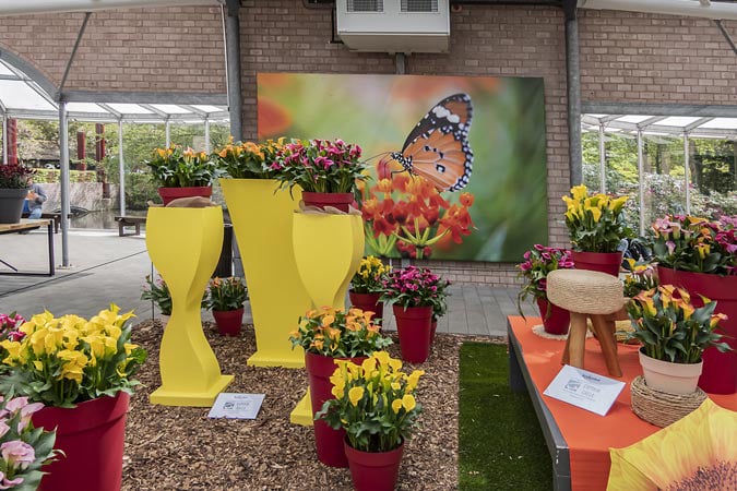 Keukenhof. Willem-Alexander Pavilion.