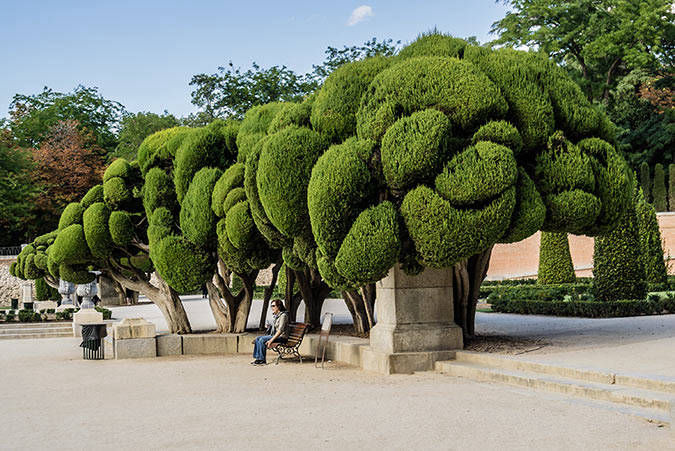 Madrid. 