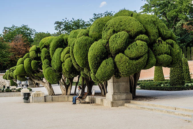 Madrid. 