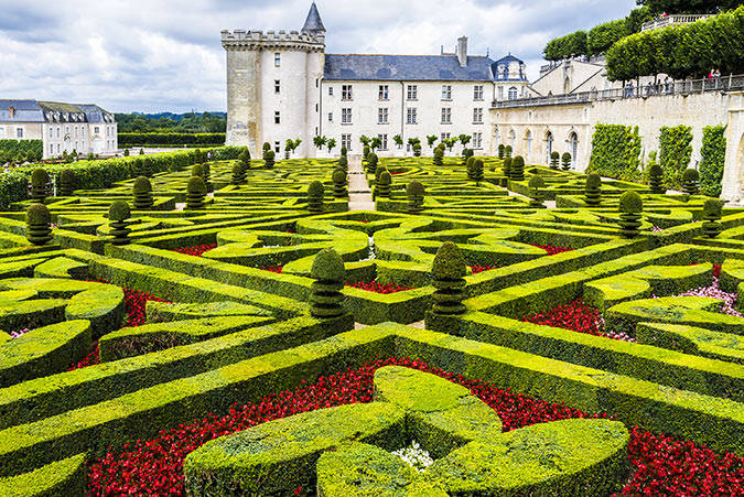 Ornamental Garden. Chateau de Villandry